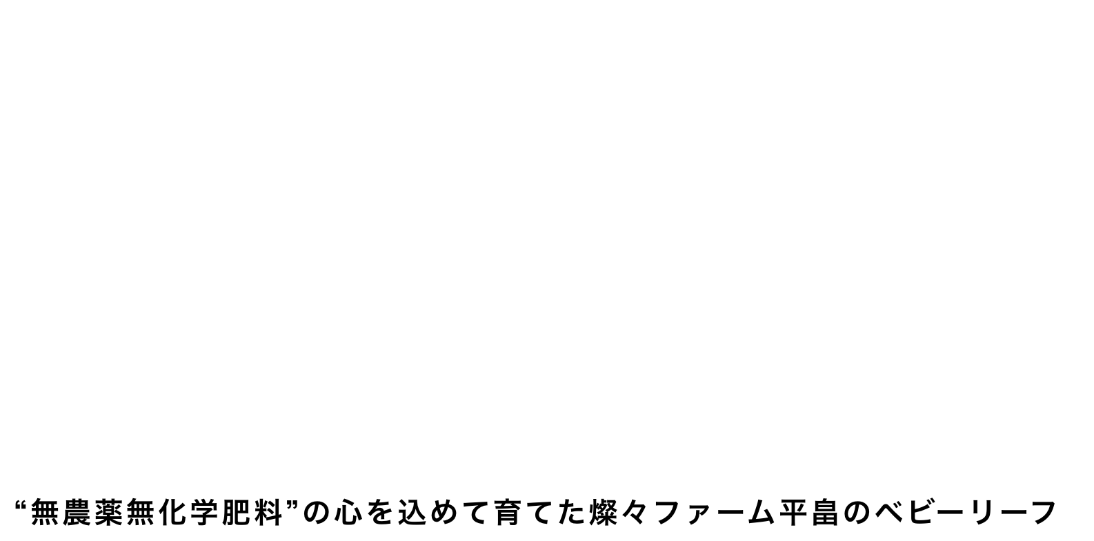 Let's eat fresh baby leaves!
